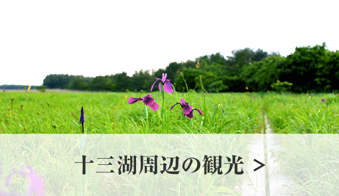 十三湖周辺の観光情報