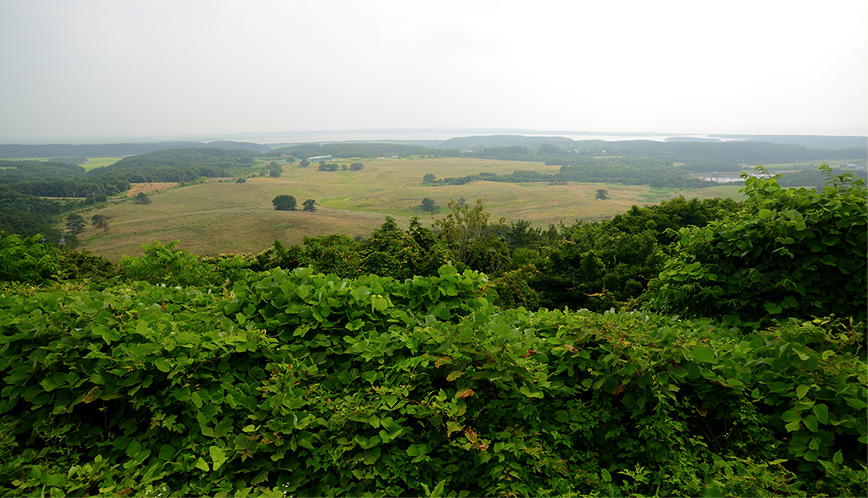 唐川城跡展望台の画像