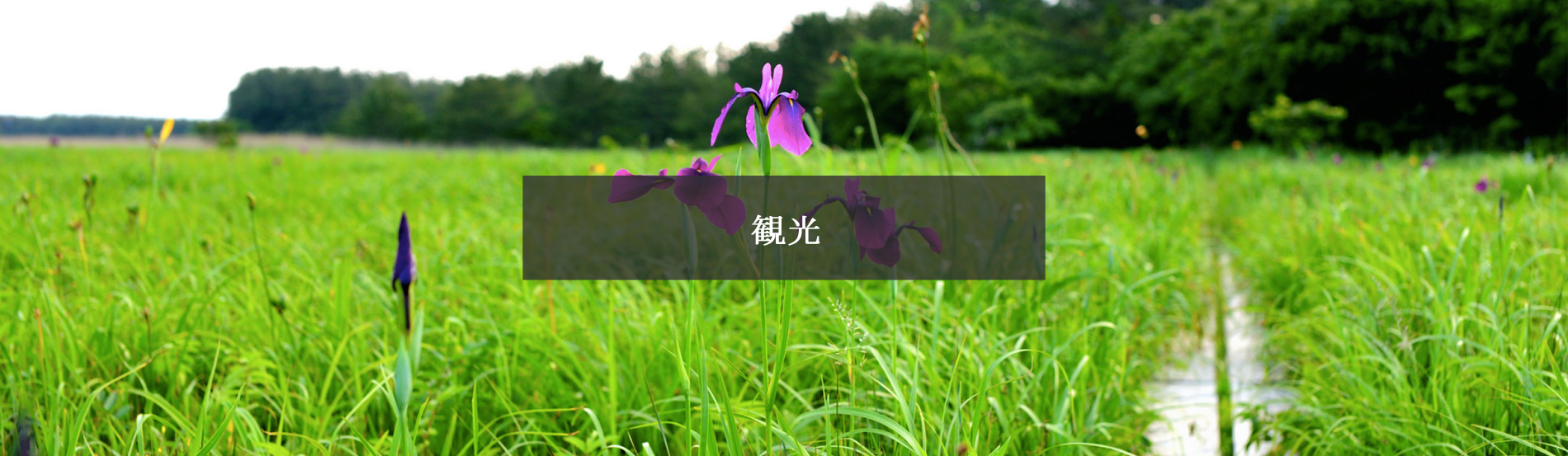 十三湖周辺の観光情報